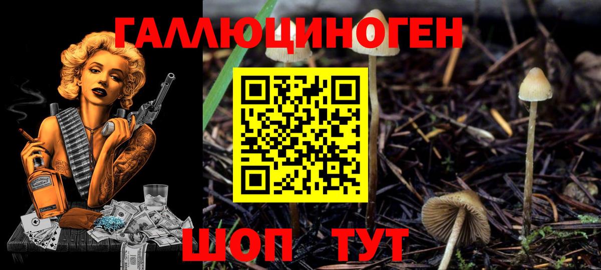 Псилоцибиновые грибы ЛСД Морозовск
